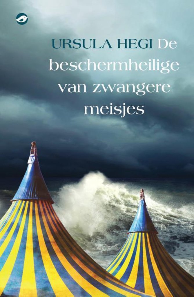 cover omslag Ursula hegi de beschermheilige van zwangere meisjes